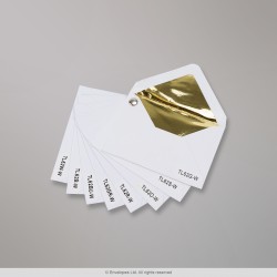 Foil and Fancy Paper Lined White Envelopes - swatch