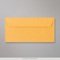 110x220mm (DL) Kultavärillä pintakäsitelty kirjekuori | Galleria: 1