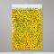 450x320 mm (C3) Gold Holographic Foil Bag | Galleria: 1