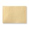 Champagne Pearlescent Envelopes
