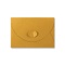 Gold Butterfly Envelopes