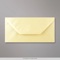 110x220 mm (DL) envelope brilhante champanhe